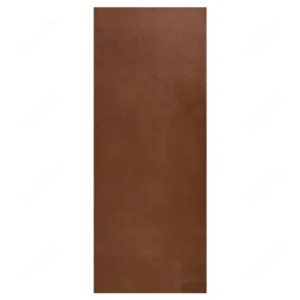 MASONITE FULL DOOR