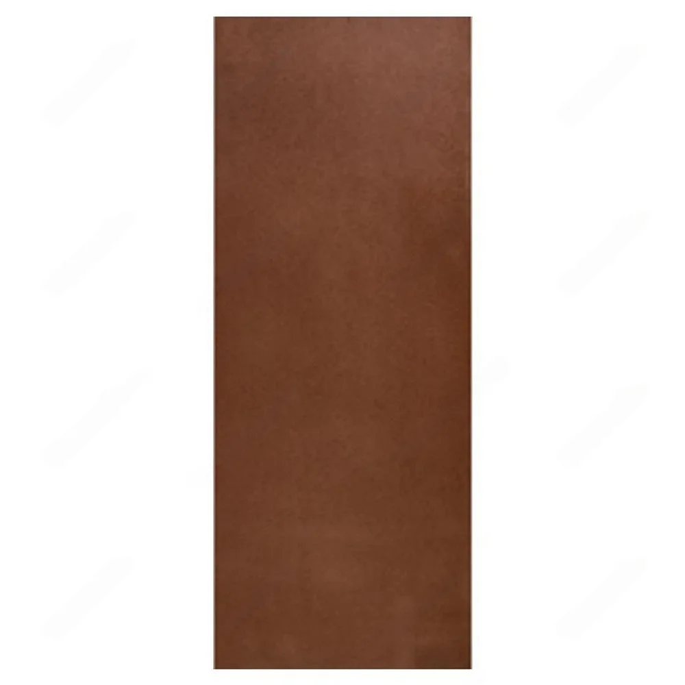 MASONITE FULL DOOR